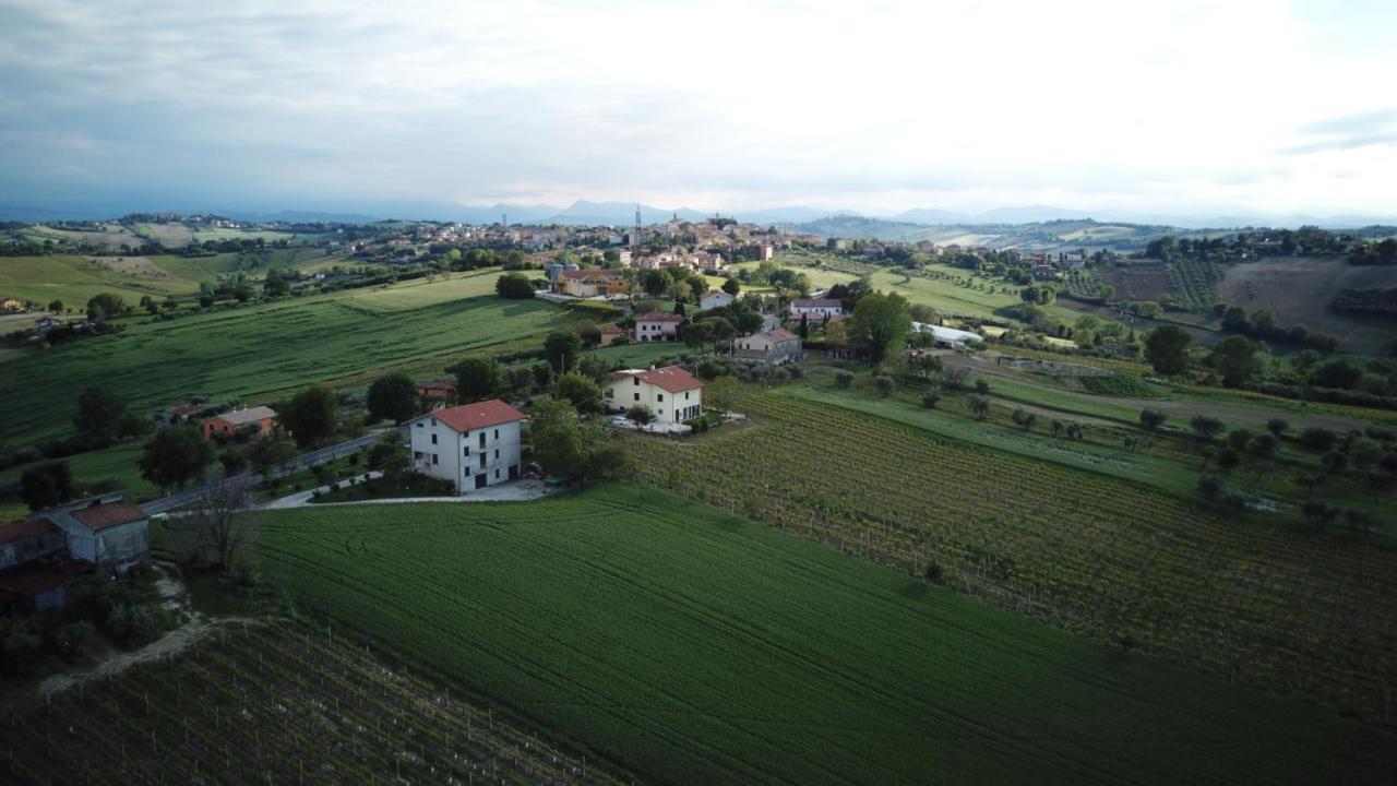 B&B Al Chicco D'Uva Morro d'Alba Exterior photo